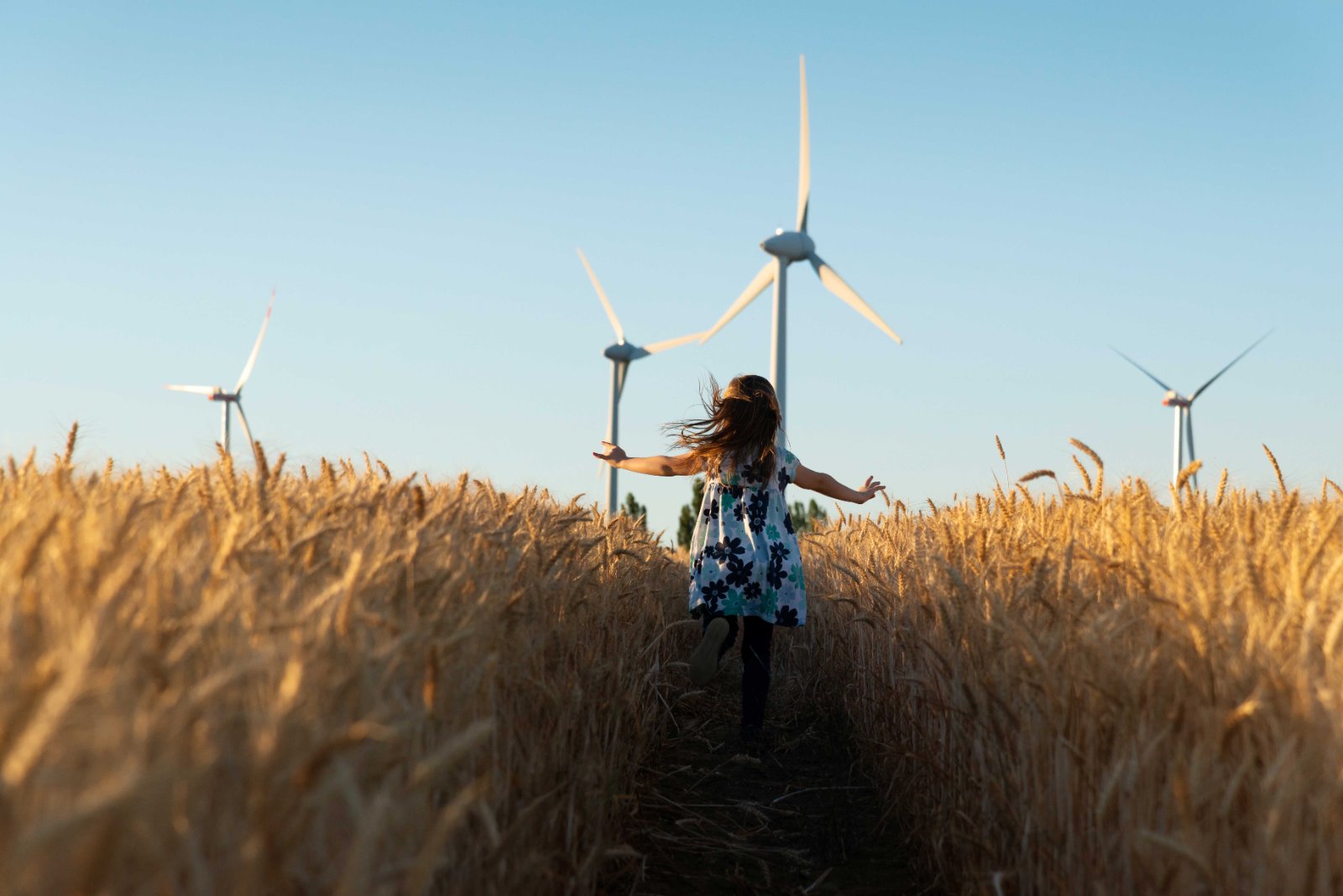 Meisje loopt door een graanveld naar windturbines